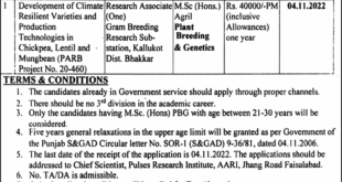 Pulses Research Institute Faisalabad Jobs